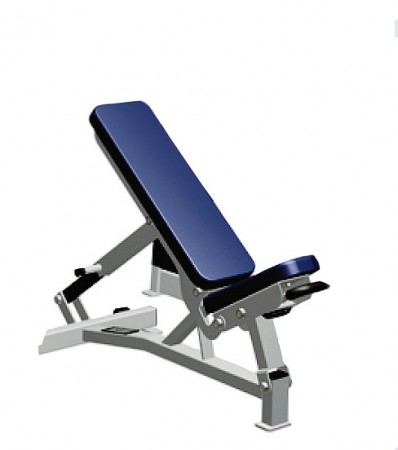 Adjustable Bench (Pro Style)